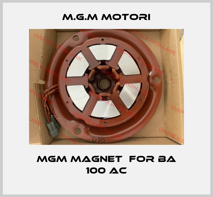 M.G.M MOTORI-MGM Magnet  for BA 100 ACprice