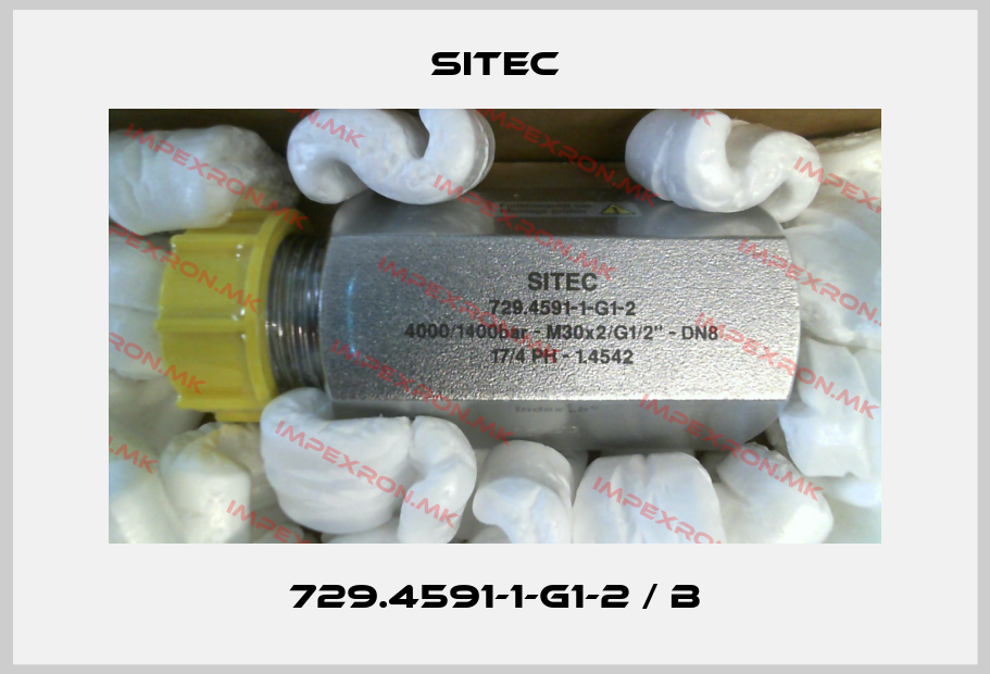 SITEC Europe