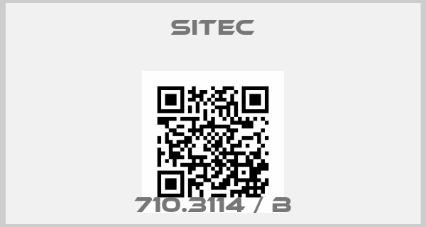 SITEC Europe