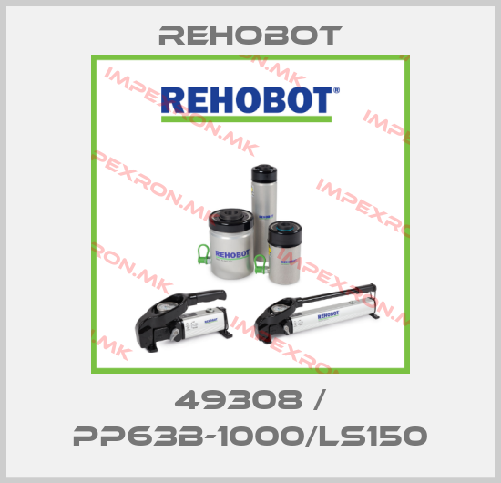 Rehobot-49308 / PP63B-1000/LS150price