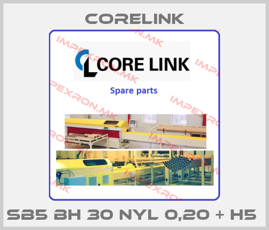 CoreLink-SB5 BH 30 NYL 0,20 + H5 price