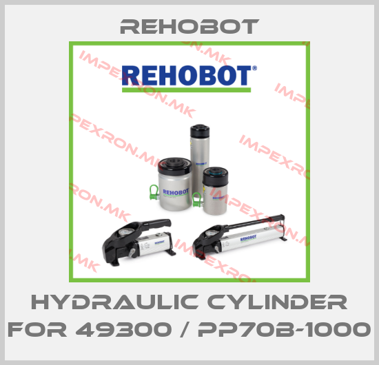 Rehobot-HYDRAULIC CYLINDER for 49300 / PP70B-1000price