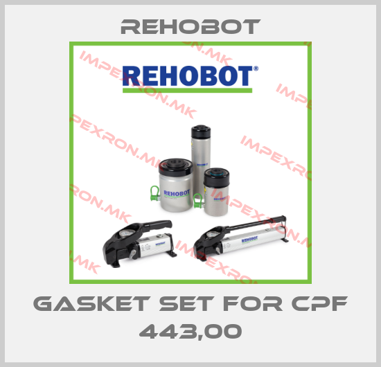Rehobot-gasket set for CPF 443,00price