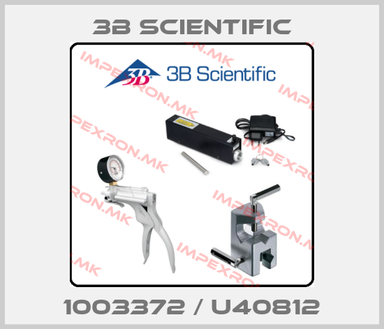 3B Scientific-1003372 / U40812price