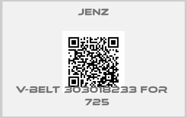 Jenz-V-belt 303018233 for  ВА725Еprice