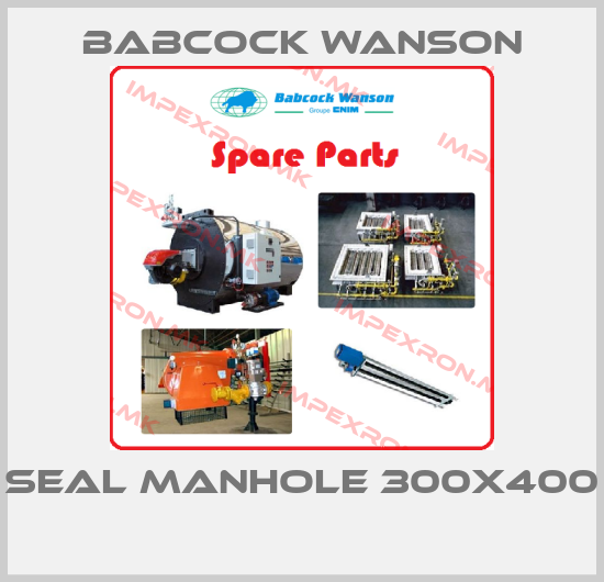 Babcock Wanson-SEAL MANHOLE 300X400 price