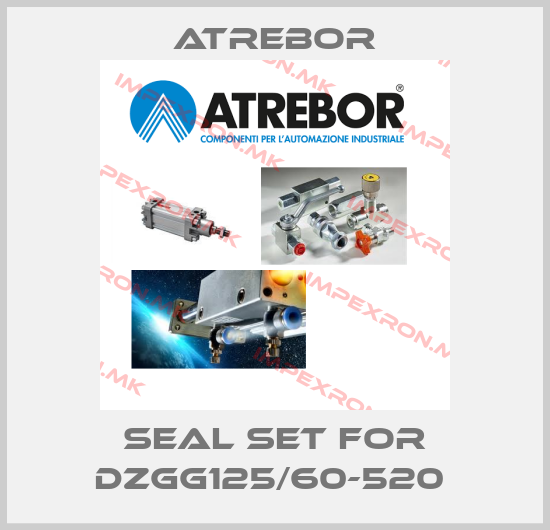 Atrebor-SEAL SET FOR DZGG125/60-520 price