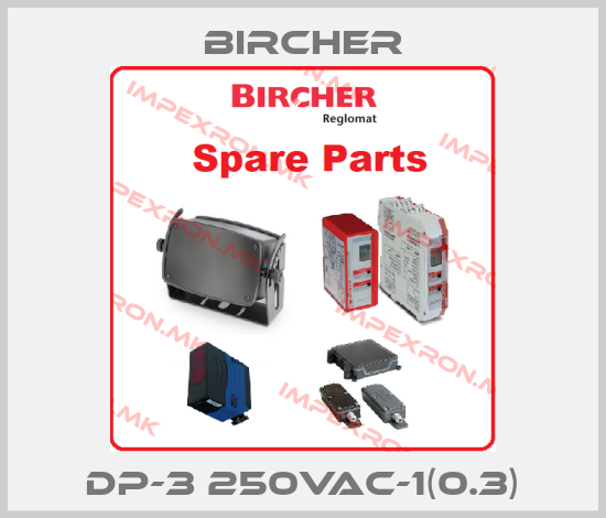 Bircher-DP-3 250VAC-1(0.3)price