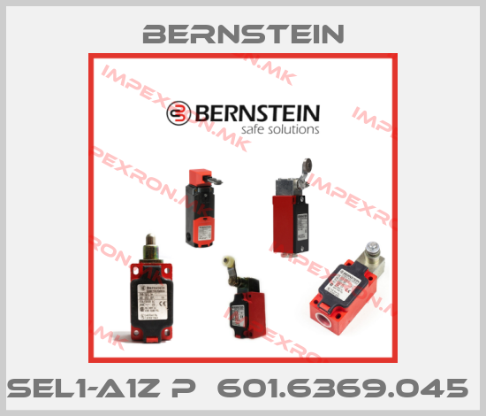 Bernstein-SEL1-A1Z P  601.6369.045 price
