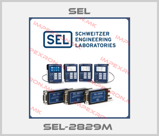 Sel Europe