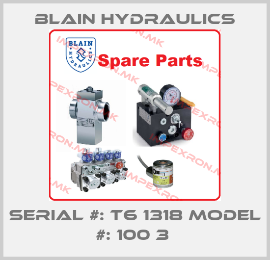 Blain Hydraulics-SERIAL #: T6 1318 MODEL #: 100 3 price
