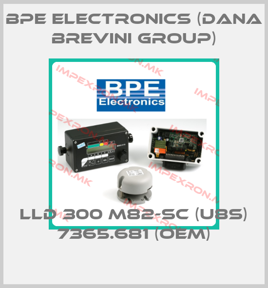 BPE Electronics (Dana Brevini Group) Europe