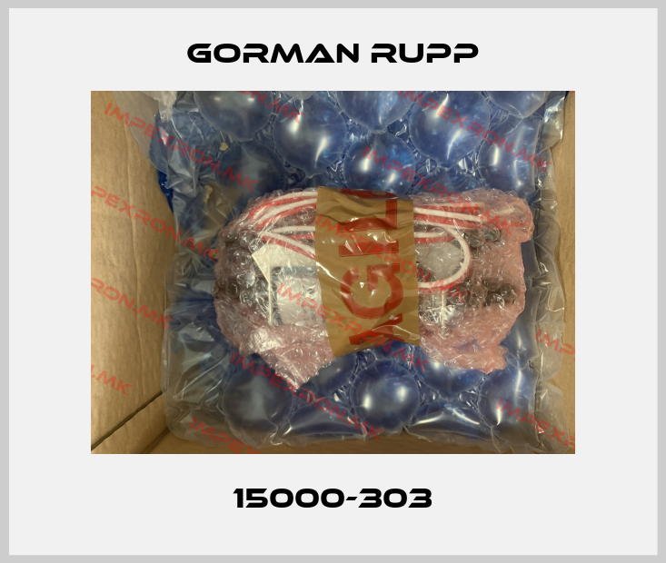 Gorman Rupp-15000-303price