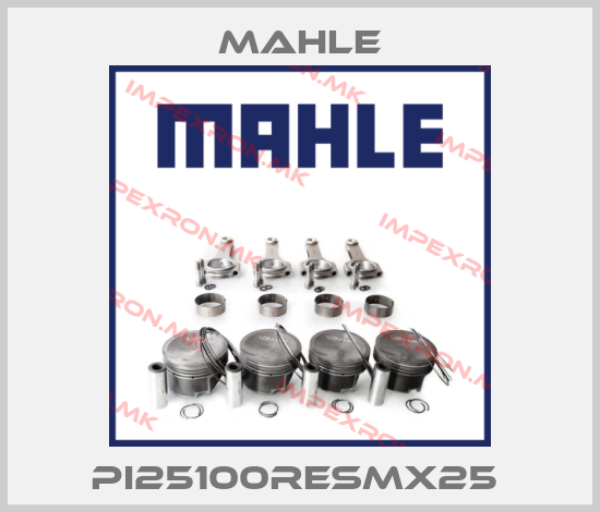 MAHLE-PI25100RESMX25 price