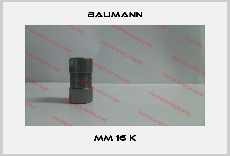 Baumann Europe