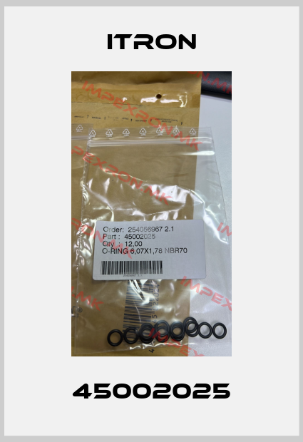 Itron-45002025price