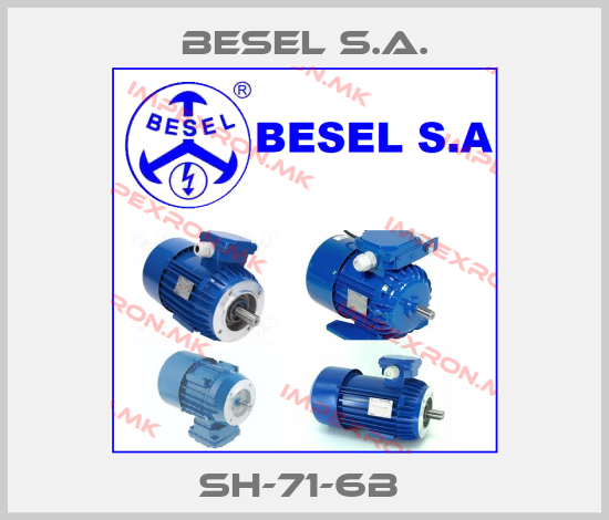 BESEL S.A. Europe