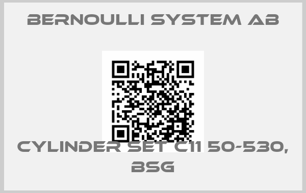Bernoulli System AB-Cylinder set C11 50-530, BSGprice
