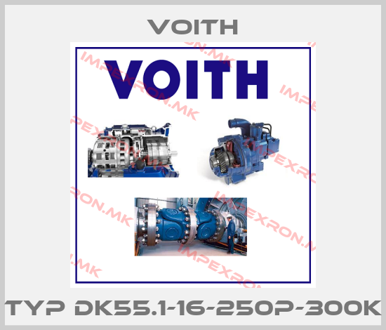 Voith-TYP DK55.1-16-250P-300Kprice