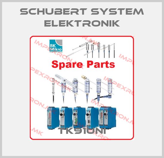 Schubert System Elektronik Europe