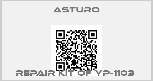 ASTURO-REPAIR KIT OF YP-1103 price