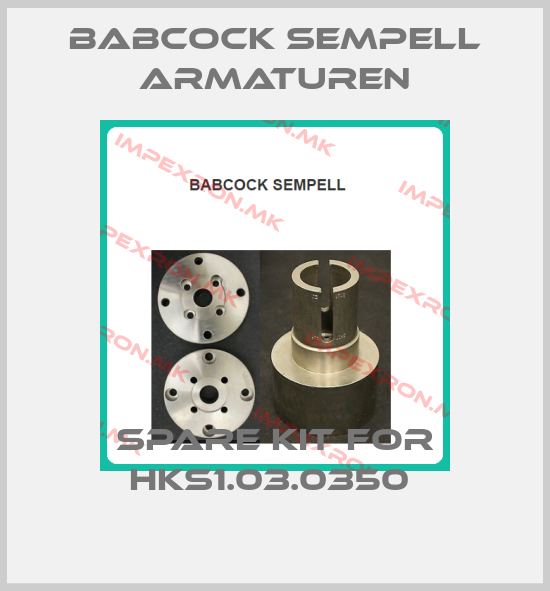 Babcock sempell Armaturen-spare kit for HKS1.03.0350 price