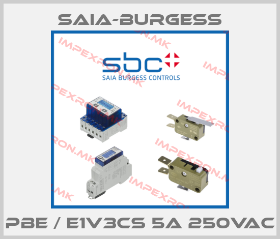 Saia-Burgess-PBE / E1V3CS 5A 250VACprice