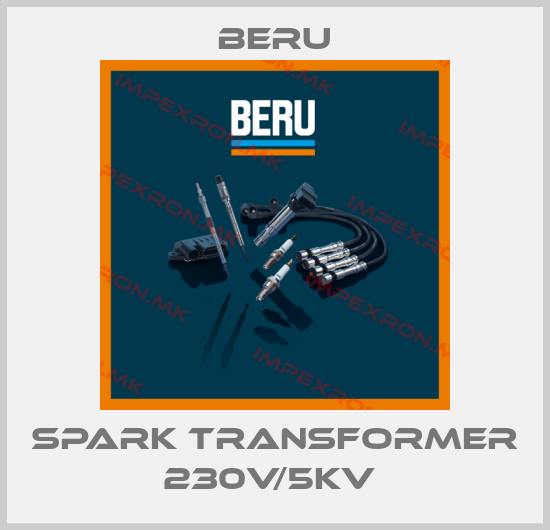 Beru-SPARK TRANSFORMER 230V/5KV price