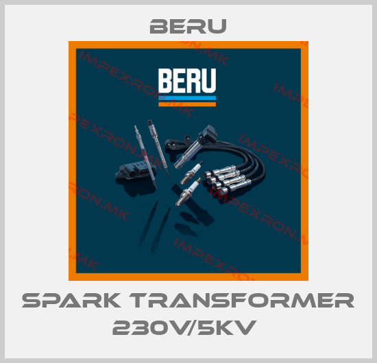 Beru Europe