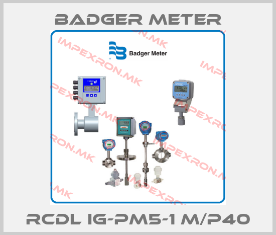 Badger Meter-RCDL IG-PM5-1 M/P40price