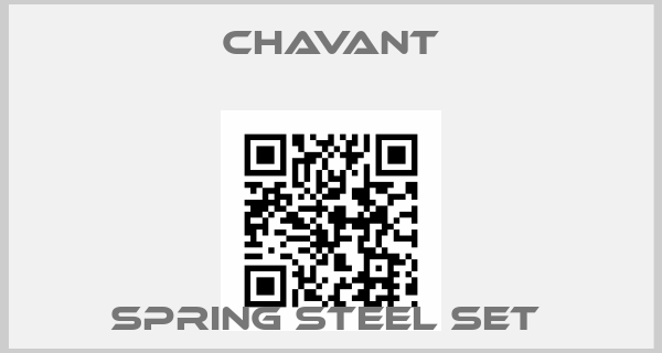 Chavant-SPRING STEEL SET price
