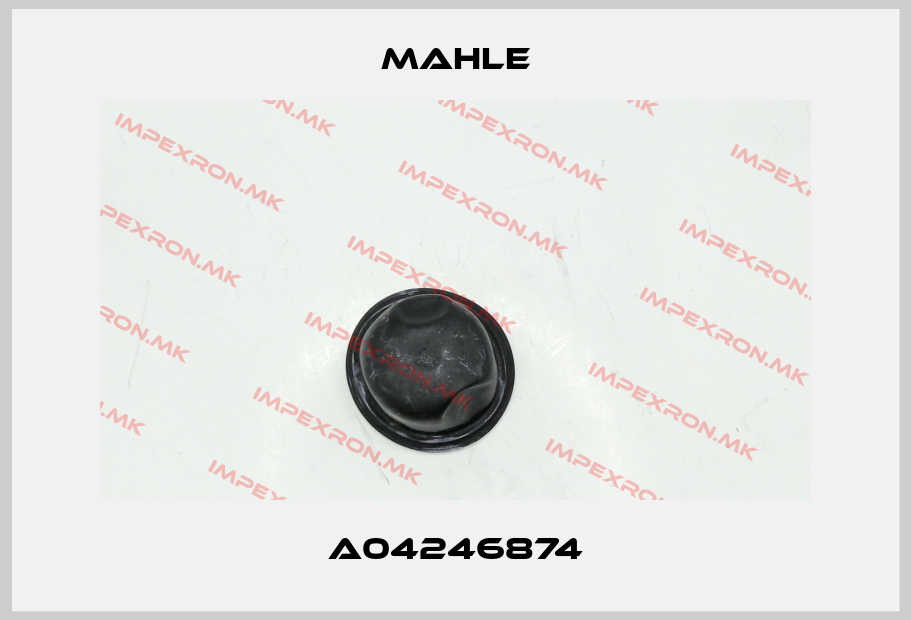 MAHLE-A04246874price