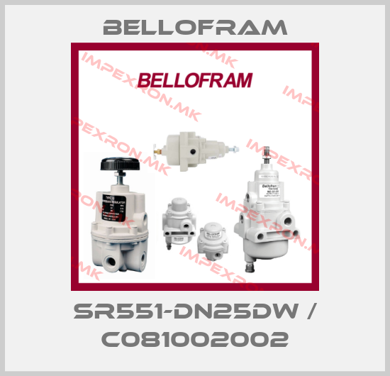 Bellofram-SR551-DN25DW / C081002002price