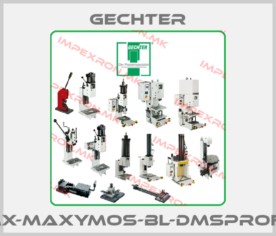 Gechter-VK-MX-MAXYMOS-BL-DMSPROFINETprice