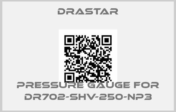 DRASTAR-Pressure gauge for DR702-SHV-250-NP3price
