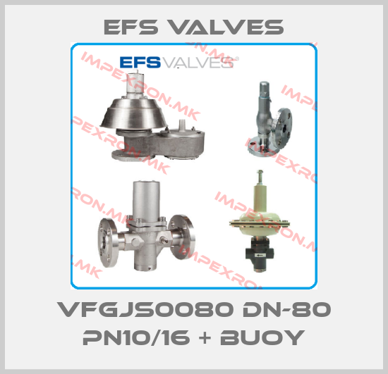 EFS VALVES-VFGJS0080 DN-80 PN10/16 + BUOYprice