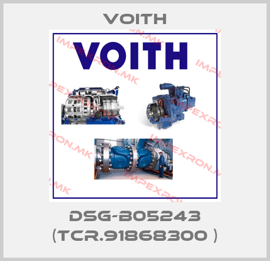Voith-DSG-B05243 (TCR.91868300 )price