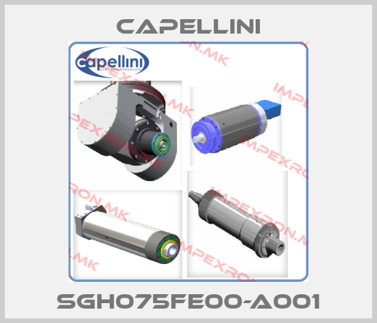 CAPELLINI-SGH075FE00-A001price
