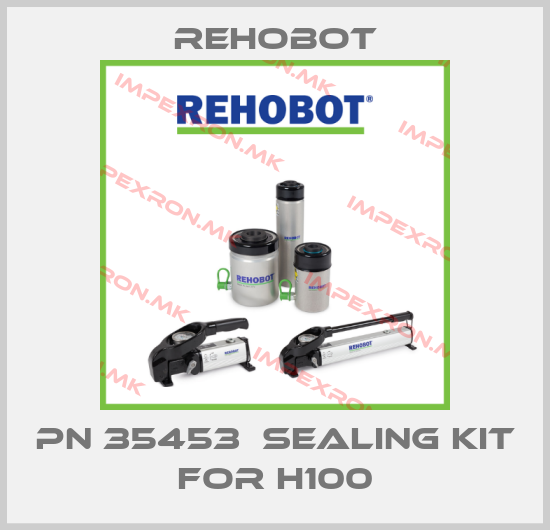 Rehobot-PN 35453  sealing kit for H100price