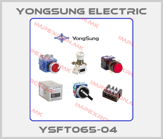 YongSung Electric-YSFT065-04  price