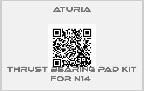 Aturia-THRUST BEARING PAD KIT FOR N14 price