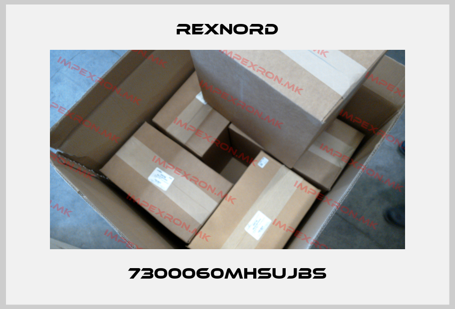 Rexnord-7300060MHSUJBSprice