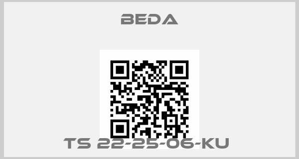 BEDA-TS 22-25-06-KU price