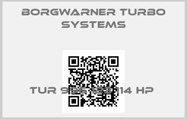 Borgwarner turbo systems-TUR 996 123 114 HP price