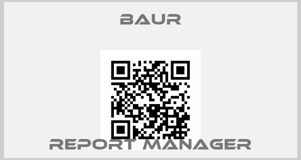 Baur-Report Managerprice