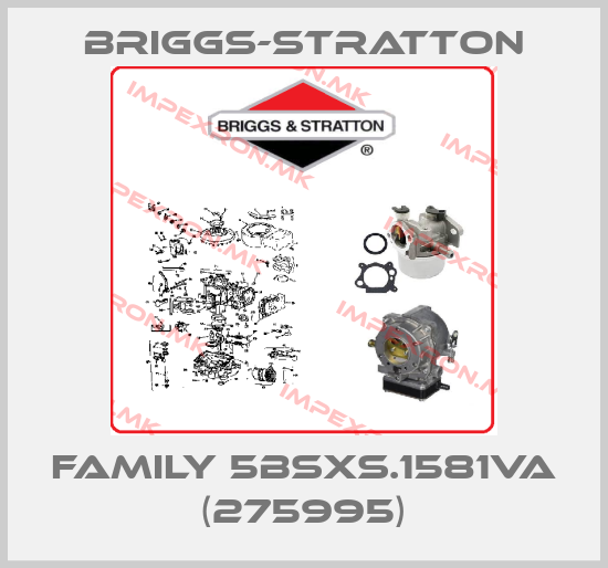 Briggs-Stratton-FAMILY 5BSXS.1581VA (275995)price