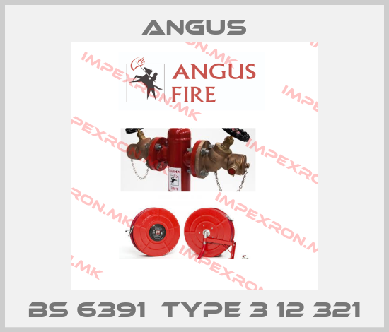 Angus-bs 6391  type 3 12 321price