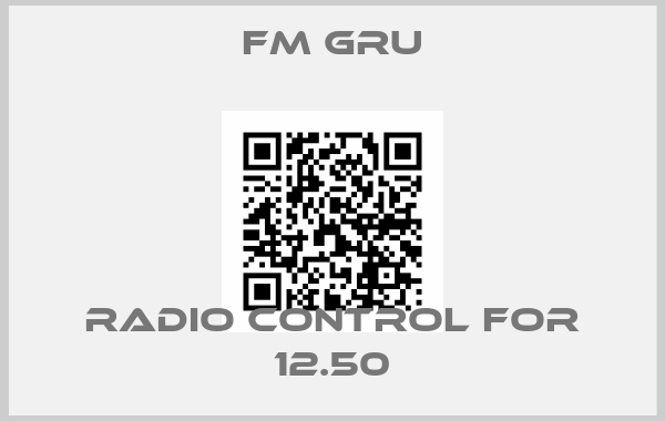 FM Gru-radio control for 12.50price