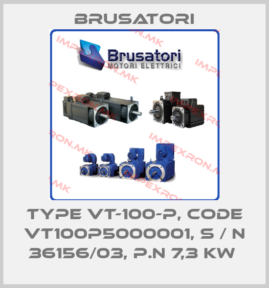 Brusatori-TYPE VT-100-P, CODE VT100P5000001, S / N 36156/03, P.N 7,3 KW price