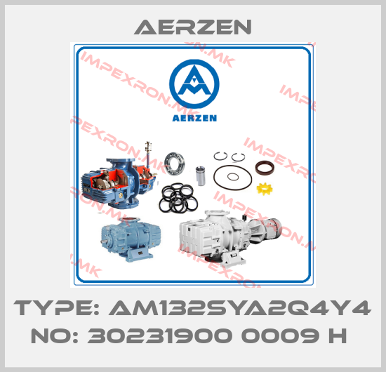 Aerzen-Type: AM132SYA2Q4Y4 No: 30231900 0009 H price